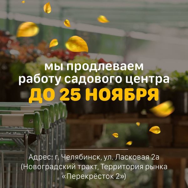 Важные новости! Наш садовый центр «Исаковский» будет работать для Вас до 25 ноября! 🍁