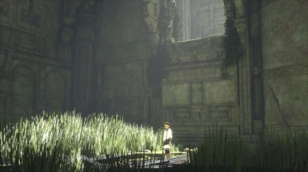 The Last Guardian (Последний хранитель) (диск для PS4, интерфейс и субтитры на русском языке)