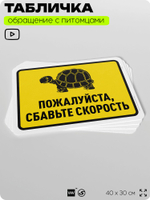 Табличка "Пожалуйста, сбавьте скорость" на дверь и забор, для двора, дома, подъезда, 40х30 см, Silver Plane x Айдентика Технолоджи