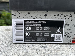 Air Jordan 4 FB9927-200