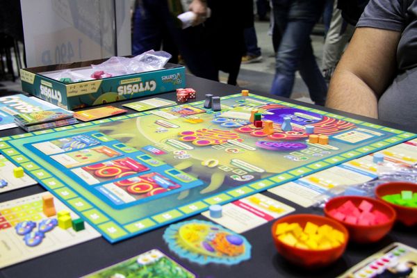 UPDATE по проектам Микромир и Пряности.