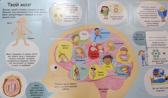 Секреты человека