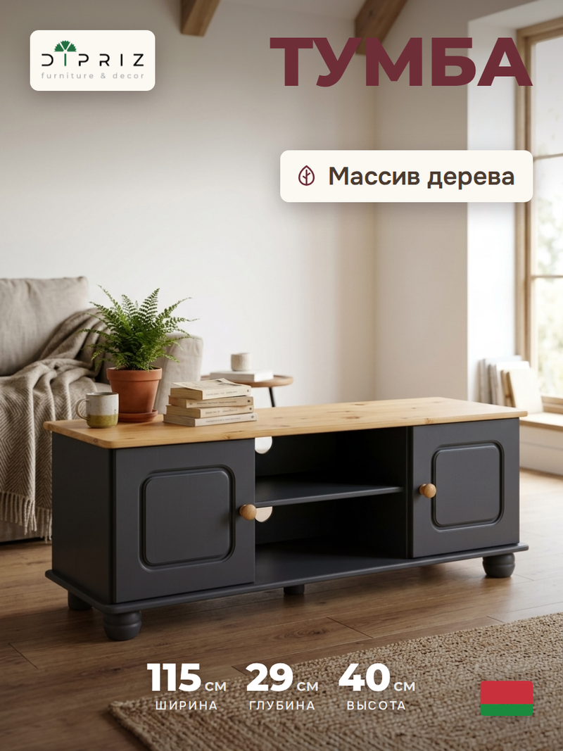 Тумба под телевизор, 115х29х40, Хаба, напольная, 2 двери, сосна, серый, Dipriz