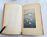 "С севера на юг. Путевые воспоминания старого журавля". Н.Н.Каразин. 1899 г.
