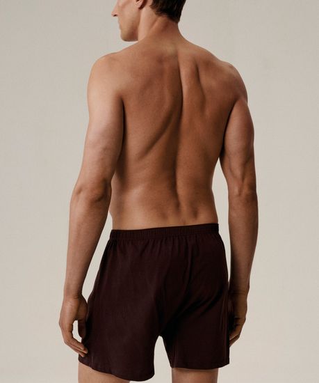 Трусы (2 шт) мужские семейные Atlantic 2MBX-054, хлопок, баклажан + хаки