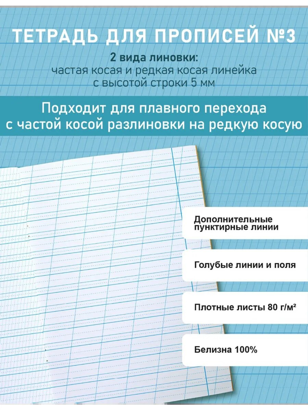 Набор тетрадей для прописей №3, 50 шт