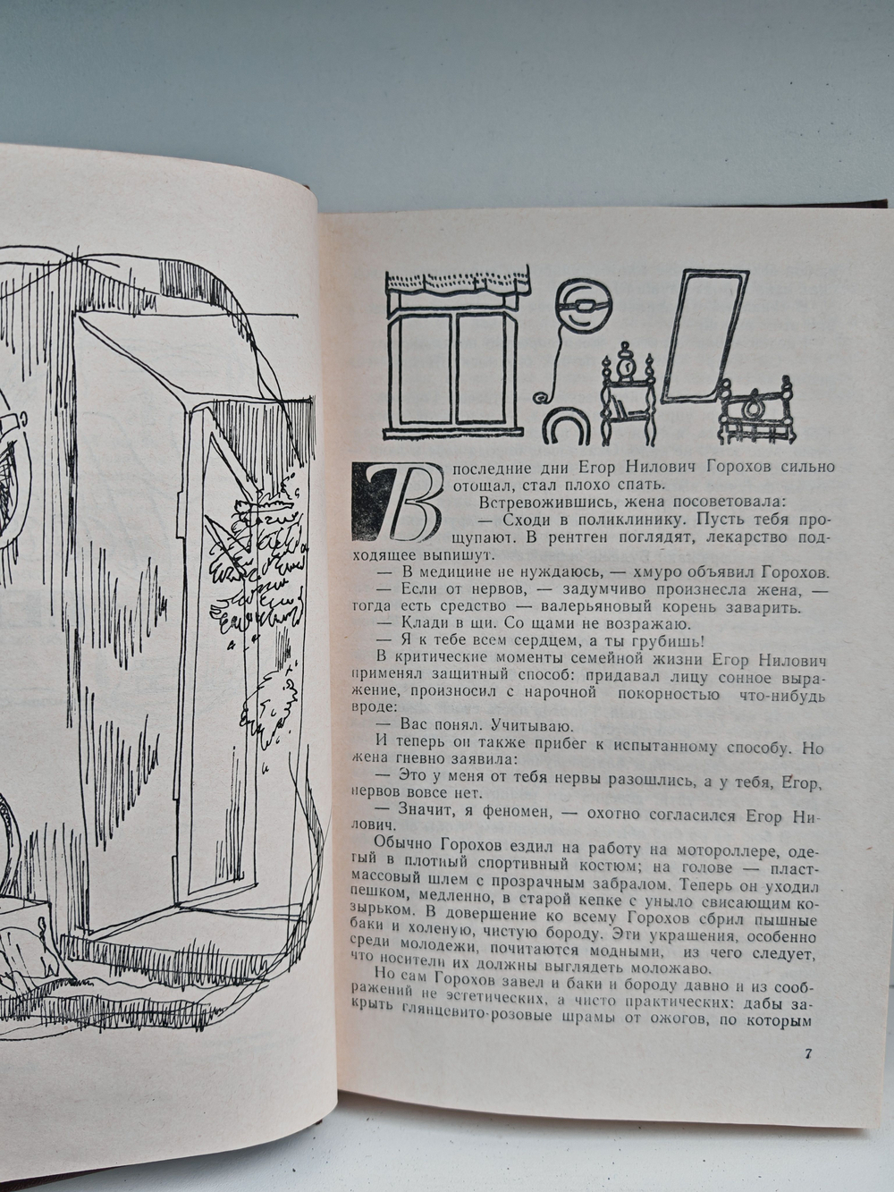 Корни и крона