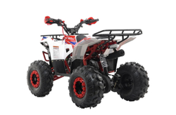 Квадроцикл MOTAX Grizlik A125