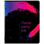 Тетради предметные комплект 12 ПРЕДМЕТОВ 48 л. матовая ламинация лак BRAUBERG "BRIGHT COLOURS" (2 штуки в упаковке)