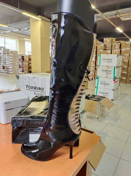 Сапоги женские TORRINI CH-2-04S \TRC-1233