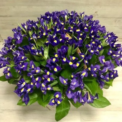 Корзина из 151 ириса