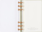 Еженедельник 2024-2025 Moleskine SPIRAL (DHSPK5212AMWH3)130х210мм, цвет фисташковый