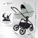 Детская коляска Rant Teo 3 в 1 Sage