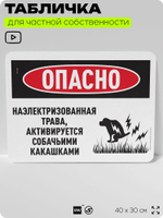 Табличка прикольная для частной территории "Опасно, наэлектризованная трава активируется собачьими какашками", на дом, 40х30 см, Silver Plane x Айдентика Технолоджи