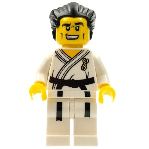 Мастер каратэ col030