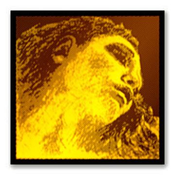 Струны для скрипки (синтетика) Pirastro 415091 Evah Gold Violin