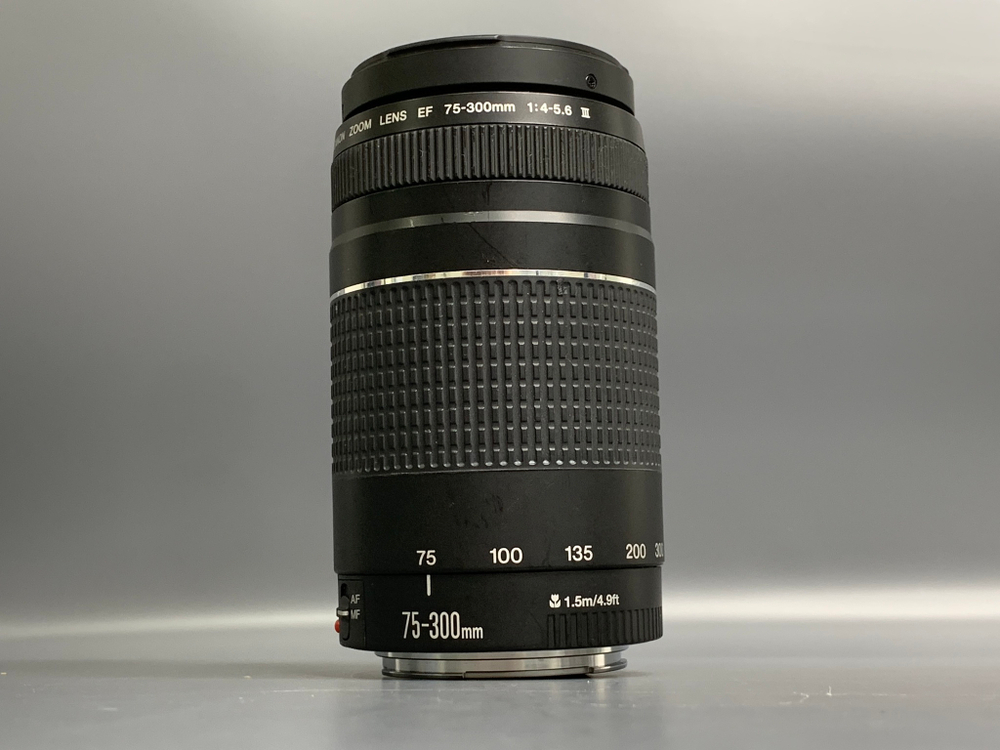 Canon EF 75-300mm 4-5.6 III