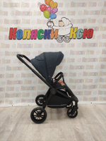 Коляска модульная Rant Basic Energy Graphite