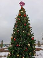 уличная ель, хвоя-пленка пвх