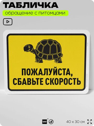 Табличка "Пожалуйста, сбавьте скорость" на дверь и забор, для двора, дома, подъезда, 40х30 см, Silver Plane x Айдентика Технолоджи