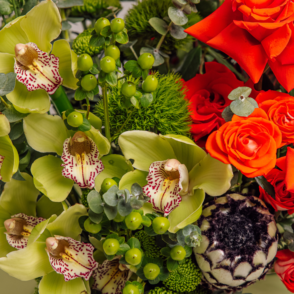 «Искрящиеся тропики»