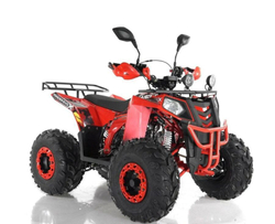 Квадроцикл RAPTOR R8