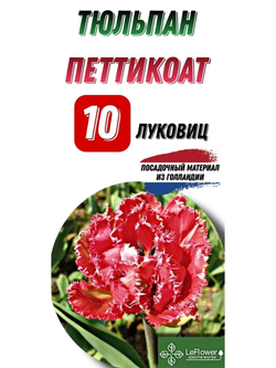 тюльпан петтикот10луковиц
