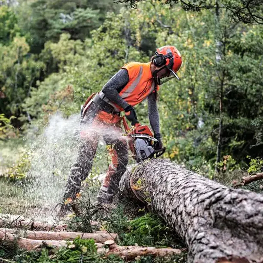 Бензопила Husqvarna 545 Mark II, 9676906-15