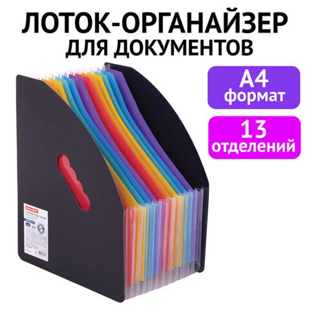 Лоток-органайзер вертикальный для бумаг и документов, 13 отделений, BRAUBERG DOCS, А4 черный.