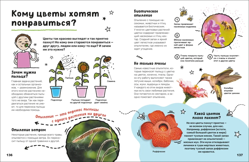 Суперэнциклопедия (нов.)