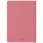 Тетрадь 60 л. в линию обложка кожзам SoftTouch сшивка B5 (179х250мм) красный BRAUBERG RAINBOW (2 штуки в упаковке)