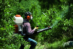 Опрыскиватель Stihl SR 420