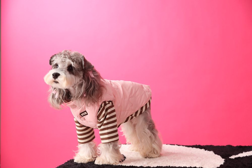 Жилетка для собак Облака