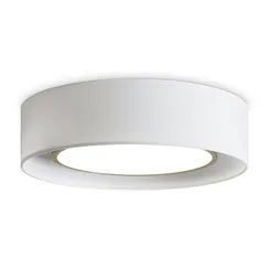 Потолочный светильник Уют / Cozy Freya fr6170cl-l52bs