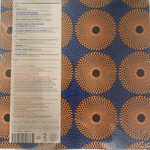 Сборник / Afro House Experience (2LP)
