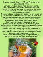 Тимьян Волшебный ковер Меджик карпет