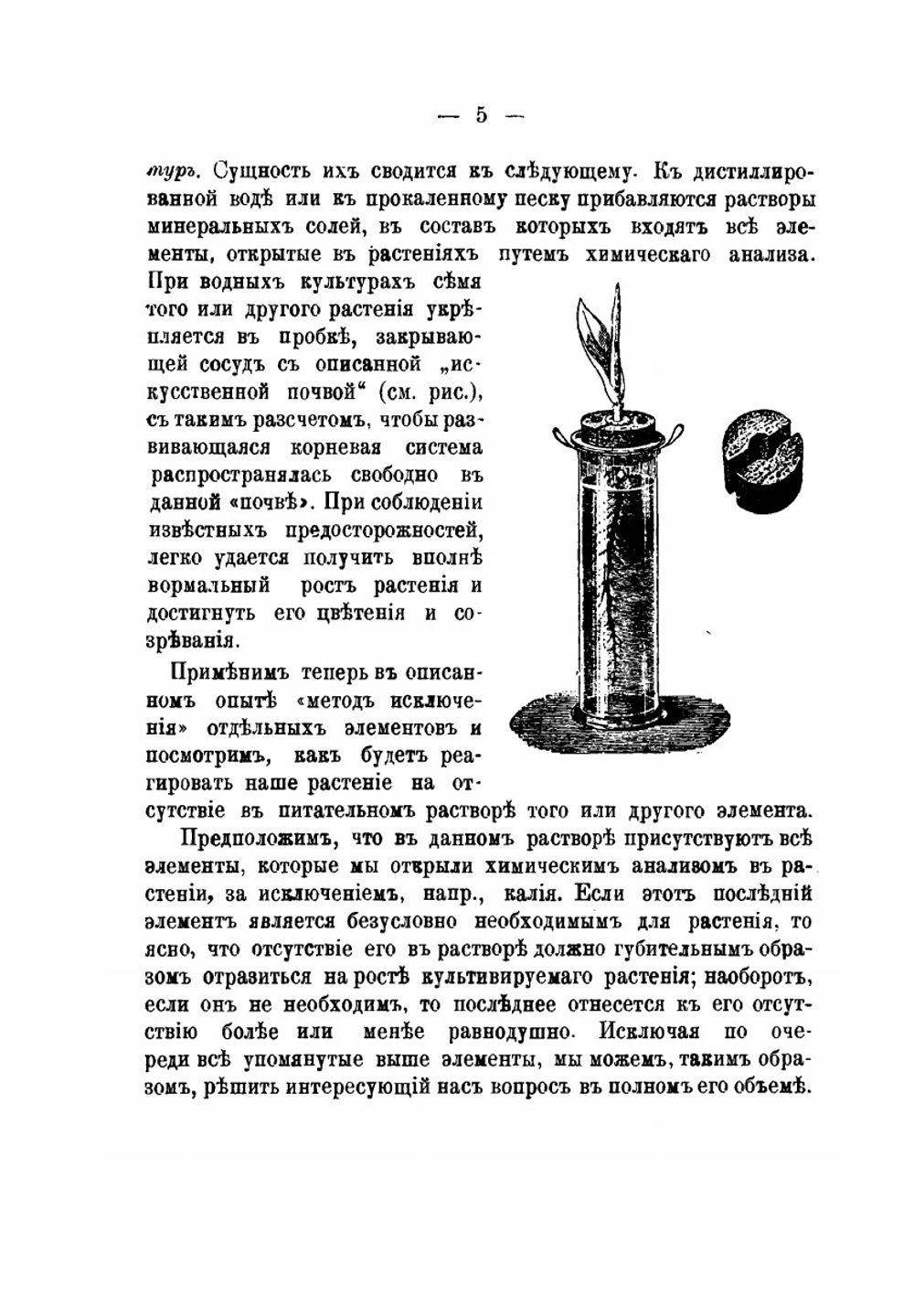 Почва и культурное растение | С.П. Кравков