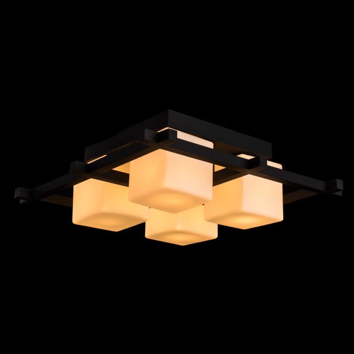 Накладной светильник Arte Lamp A8252PL-4CK