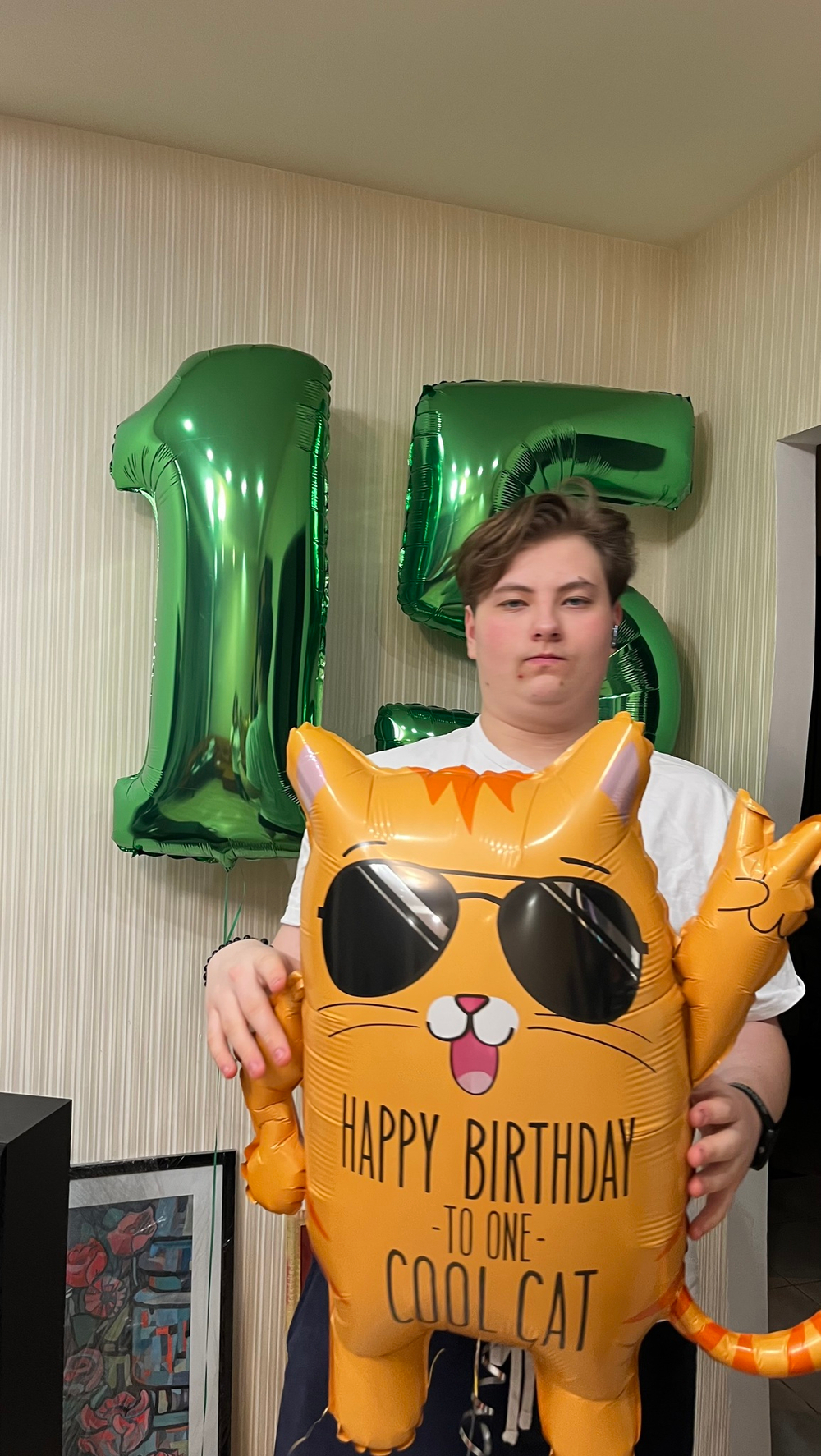 Набор 15 лет крутому коту