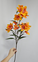 Альстромерия / Арт 2570