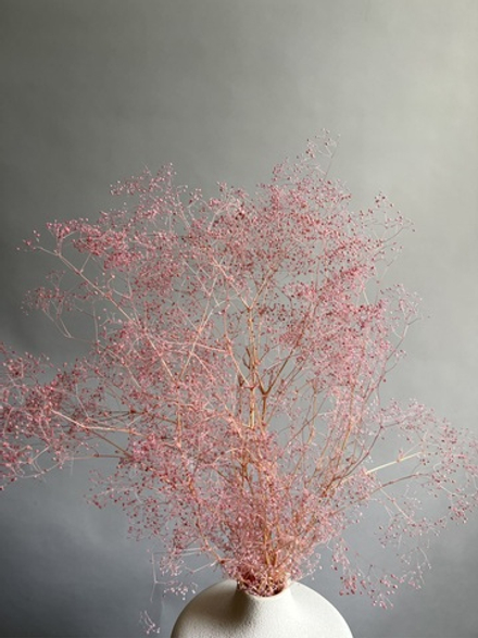 Брум розовый