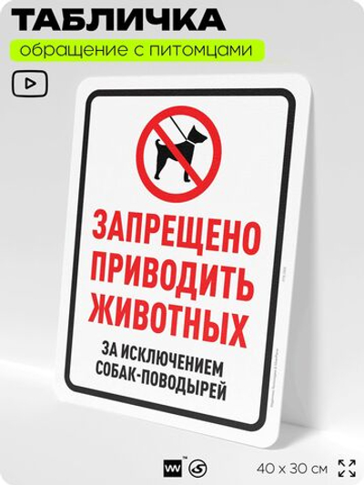 Табличка "Запрещено приводить животных" на дверь и забор, для двора, дома, подъезда, 40х30 см, Silver Plane x Айдентика Технолоджи