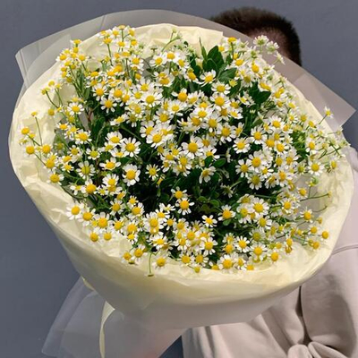 Букет "Матрёшка" (Матрикария/танацетум)