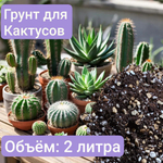 Авторский грунт для Какутусов 2 литра