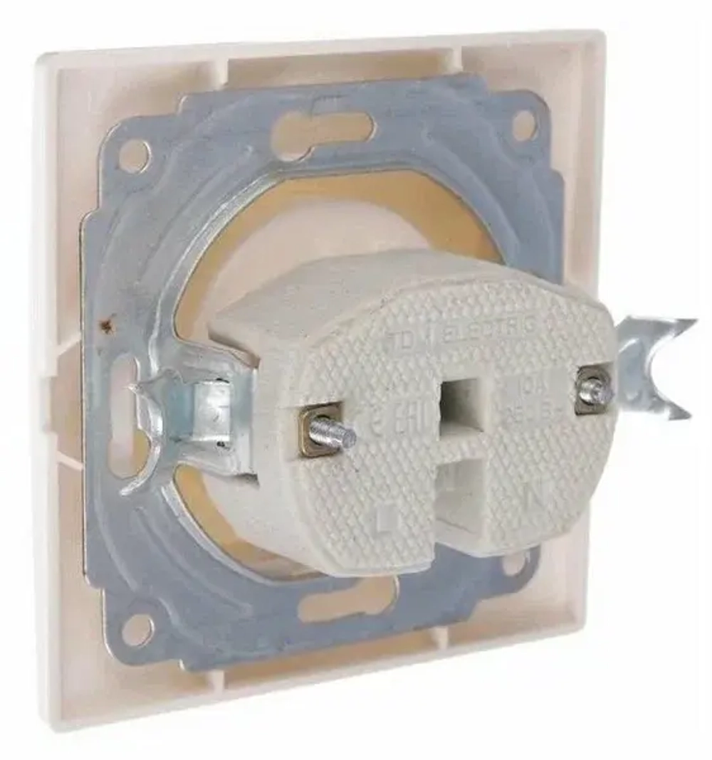 Розетка TDM Electric SQ1814-0011