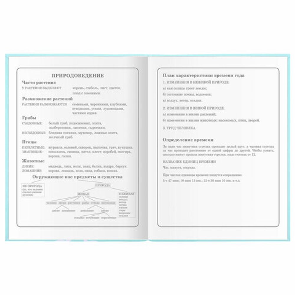 Дневник 1-4 класс 48 л., гибкая обложка, ЮНЛАНДИЯ, выборочный лак, с подсказом, "Little Princess", 106344