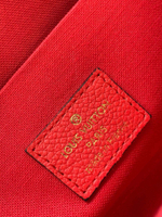 Louis Vuitton Felicie