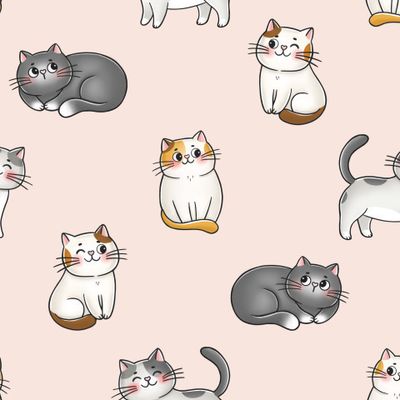 Котики