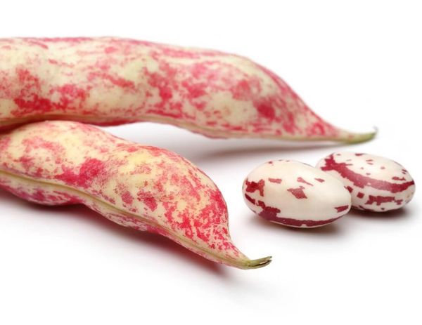 Уплывем от диабета на «длинной узкой лодке»…