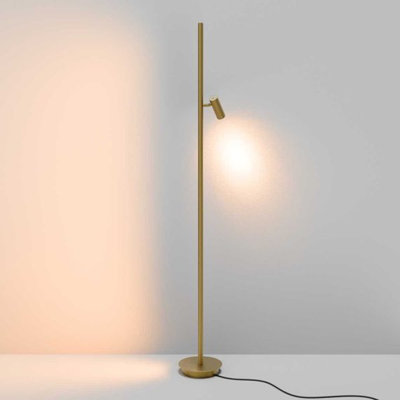 Торшер Maytoni Modern Thin MOD395FL-L28BS3K